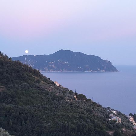 Casa Bubo Apartman Bogliasco Kültér fotó