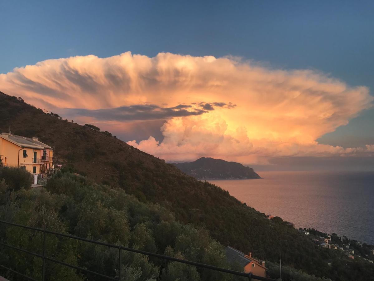 Casa Bubo Apartman Bogliasco Kültér fotó