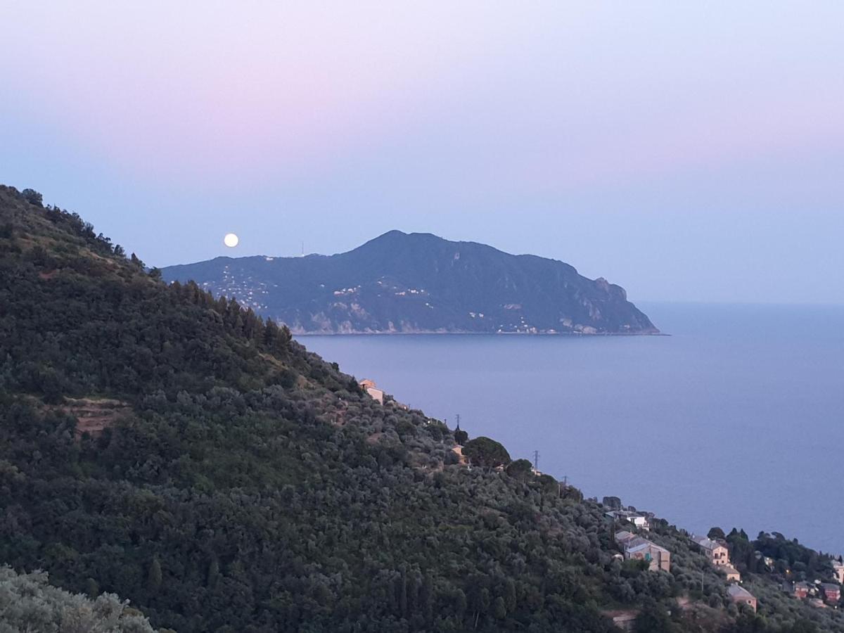 Casa Bubo Apartman Bogliasco Kültér fotó