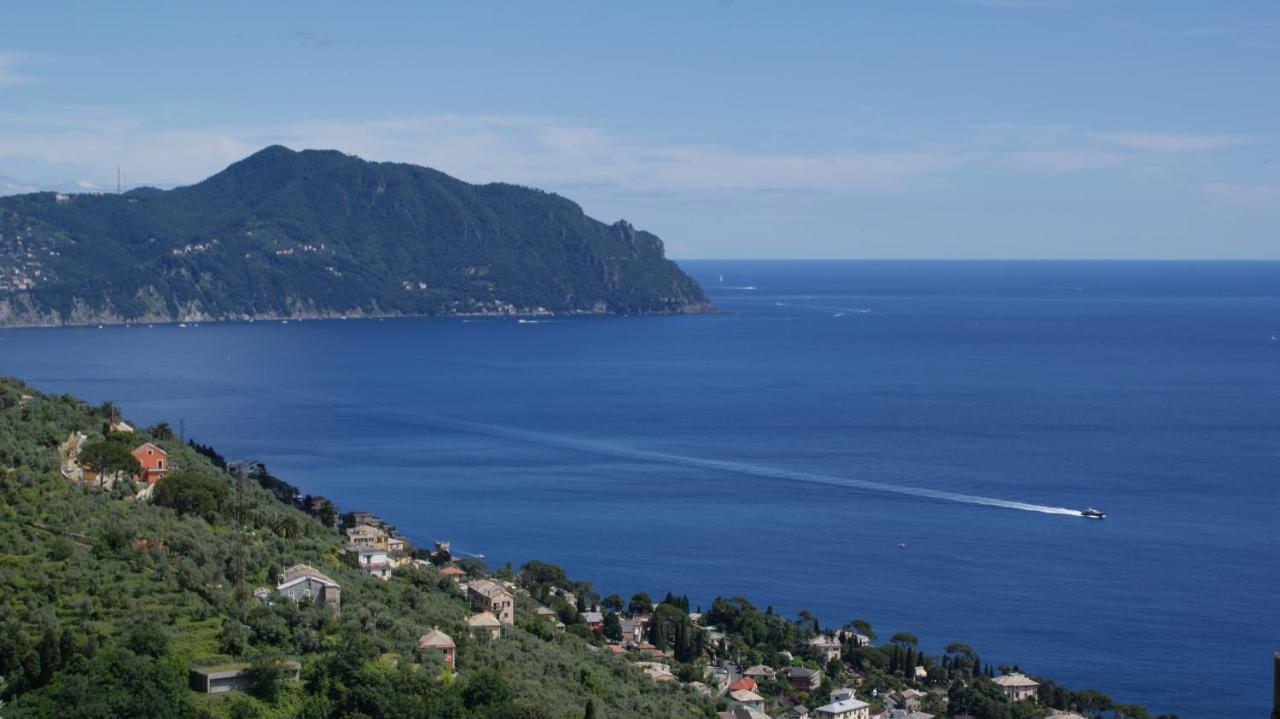 Casa Bubo Apartman Bogliasco Kültér fotó